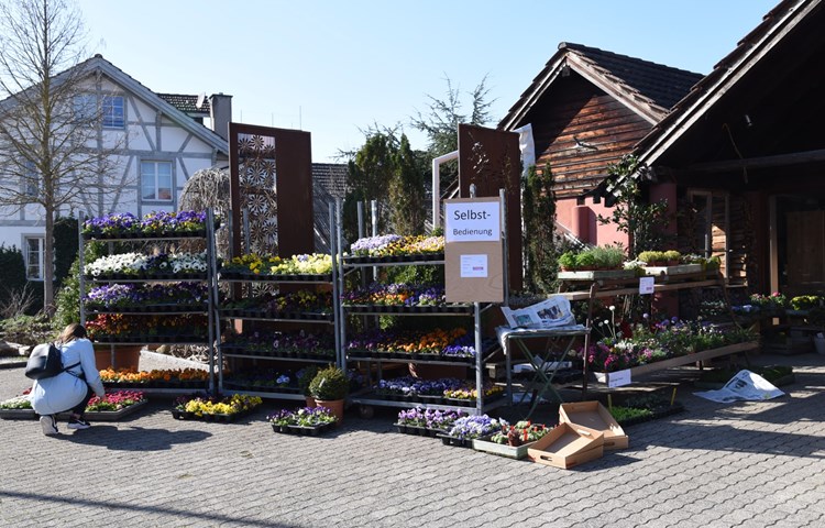 Blumen und Setzlinge gibt es nur in Selbstbedienung oder auf Bestellung. Blumen und Setzlinge gibt es nur in Selbstbedienung oder auf Bestellung.
