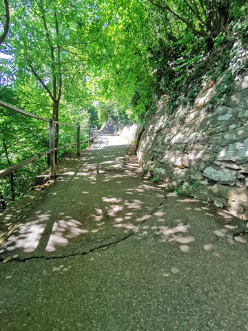 Der Rheinfallweg auf Schaffhauser Seite weist zahlreiche Risse und Unebenheiten auf.