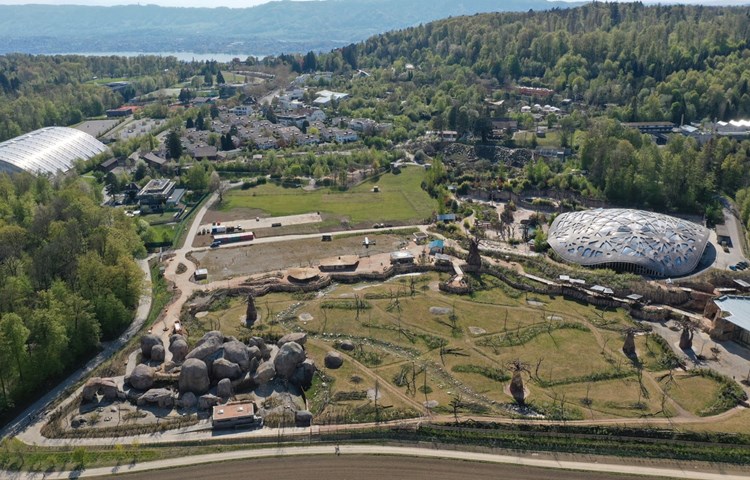 An der Lewa-Savanne neben dem Elefantenpark haben auch Weinländer Firmen mitgearbeitet. An der Lewa-Savanne neben dem Elefantenpark haben auch Weinländer Firmen mitgearbeitet.