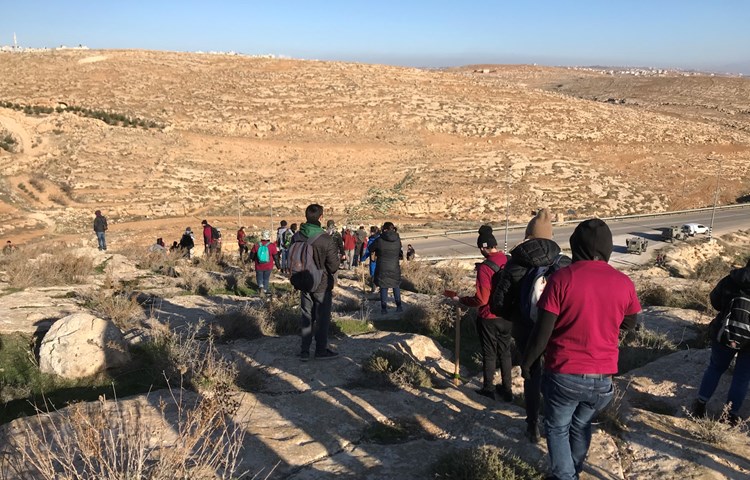 Die Friedensarbeit: Hier pflanzen Israelis und Palästinenser gemeinsam Olivenbäume. Die Friedensarbeit: Hier pflanzen Israelis und Palästinenser gemeinsam Olivenbäume.