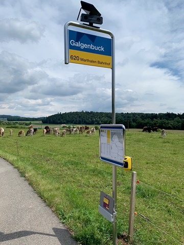 Nicht nur idyllisch gelegen, auch auf dem modernsten Stand: Haltestelle Galgenbuck mit Sitz, Licht und Signal.