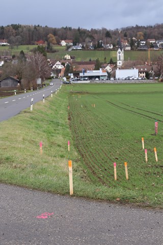 Blick von der A4 in Richtung Benken. Nach Bodenproben konnte entschieden werden, den im Dezember ausgesteckten Radweg näher an die Strasse zu bauen, wodurch weniger Kulturland verloren geht. Auf Höhe der Sürchstrasse wird vor dem Dorfeingang eine Insel erstellt. Blick von der A4 in Richtung Benken. Nach Bodenproben konnte entschieden werden, den im Dezember ausgesteckten Radweg näher an die Strasse zu bauen, wodurch weniger Kulturland verloren geht. Auf Höhe der Sürchstrasse wird vor dem Dorfeingang eine Insel erstellt.