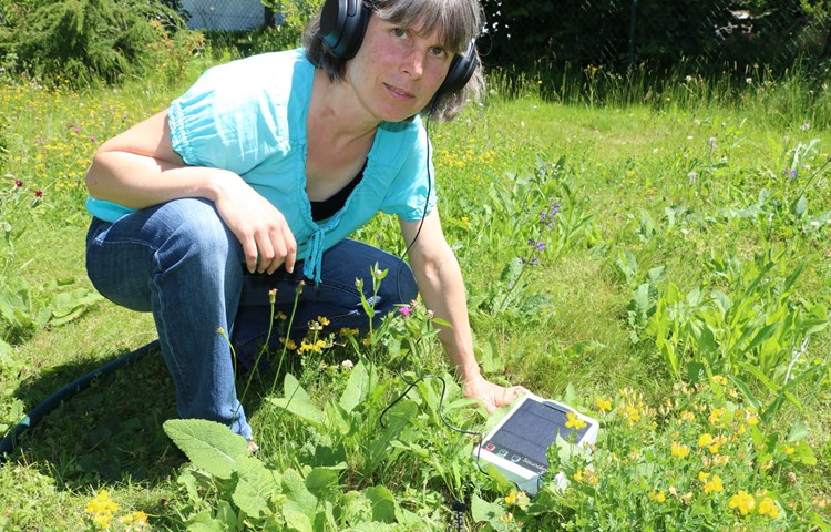 Marianne Bilger vom Naturnetz Stammertal hört, wie in der Erde etwas «chaflet». Marianne Bilger vom Naturnetz Stammertal hört, wie in der Erde etwas «chaflet».