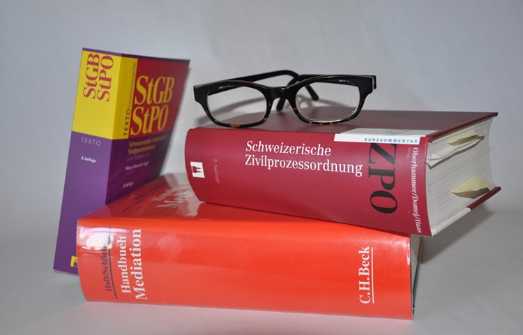 Für Strafprozesse oder Zivilprozesse können nicht die gleichen Regeln gelten. Für Strafprozesse oder Zivilprozesse können nicht die gleichen Regeln gelten.