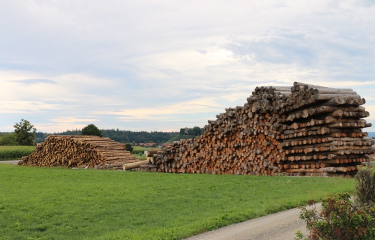 Zwischenlager wie dieses bei der Stammheimer Badi gibt es im ganzen Weinland. Zwischenlager wie dieses bei der Stammheimer Badi gibt es im ganzen Weinland.