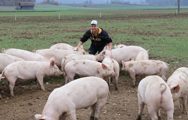Reto Wipf hält 80 Freilandschweine. Und bald will er auch Tofu produzieren. Reto Wipf hält 80 Freilandschweine. Und bald will er auch Tofu produzieren.