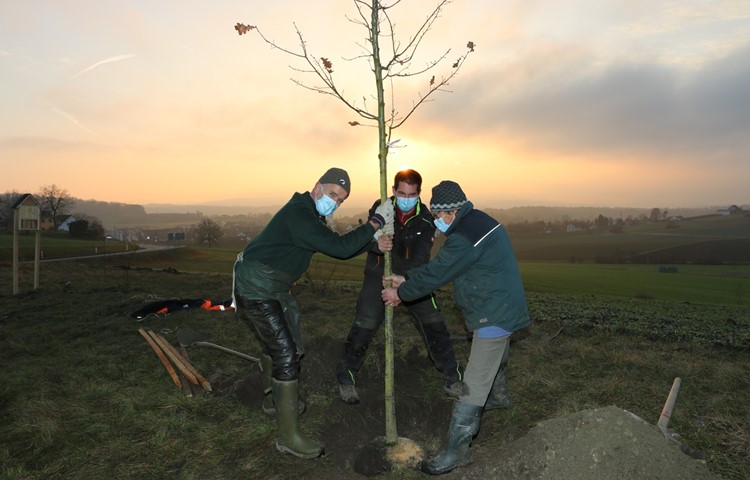 Zum Sonnenuntergang gibts bald Insektengebrumm und Vogelgesang, dank den Kindern und Hans-Caspar Ryser, Thomas Dünki und Noldi Trachser (von links). Zum Sonnenuntergang gibts bald Insektengebrumm und Vogelgesang, dank den Kindern und Hans-Caspar Ryser, Thomas Dünki und Noldi Trachser (von links).