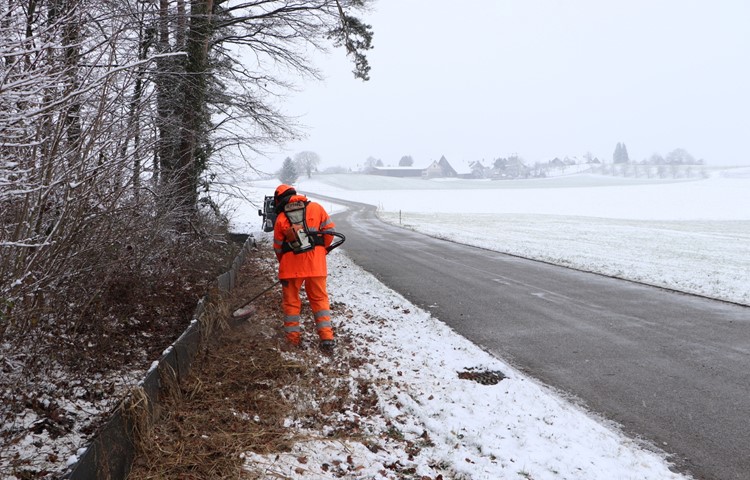 Ein Mitarbeiter des kantonalen Tiefbauamts räumt beim Amphibienzaun auf, damit die Tiere nicht über die Sperre kriechen und doch auf die Strasse gelangen können. Ein Mitarbeiter des kantonalen Tiefbauamts räumt beim Amphibienzaun auf, damit die Tiere nicht über die Sperre kriechen und doch auf die Strasse gelangen können.