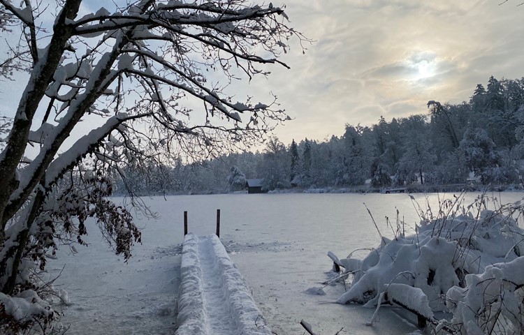 Bild 11: Steg am Husemersee. Bild 11: Steg am Husemersee.