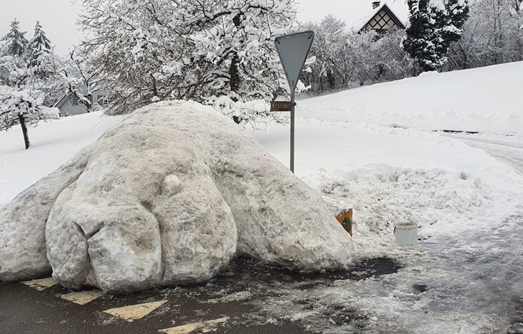 Bild 9: Riesenhase in Kleinandelfingen Bild 9: Riesenhase in Kleinandelfingen