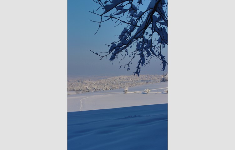 Bild 4: Schnee im Flaachtal, Blick von Buch am Irchel in Richtung Weinland. Bild 4: Schnee im Flaachtal, Blick von Buch am Irchel in Richtung Weinland.