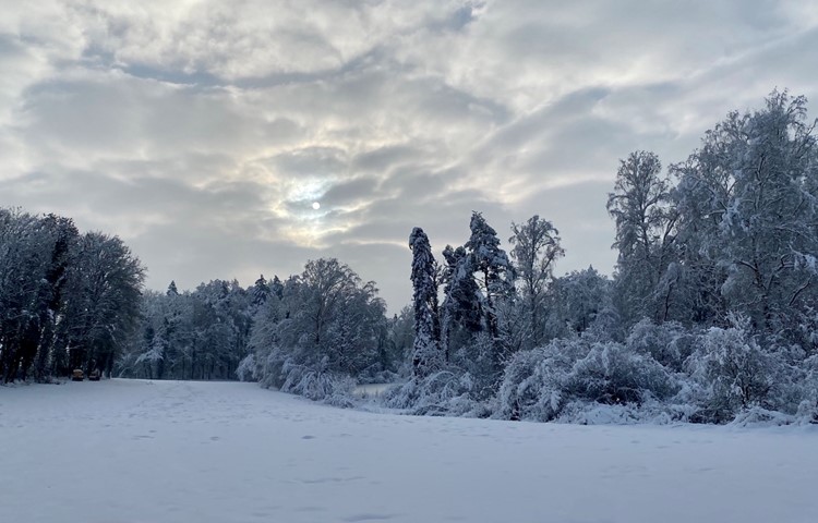 Bild 5: Mystische Stimmung. Bild 5: Mystische Stimmung.