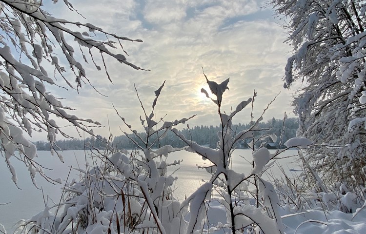 Bild 13: Wintersonne am Husemersee. Bild 13: Wintersonne am Husemersee.