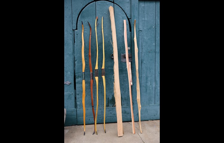 Von links: Vier fertige Bogen, ein Stück Rohholz und zwei Bogen in Arbeit.