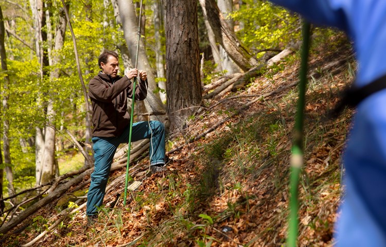 Seit 2010 leitet Gilberto Pasinelli ein Projekt über den gefährdeten Waldlaubsänger in den Jurahängen der Nordschweiz. Hier trifft er Vorbereitungen, um ein Männchen zu fangen und zu beringen. Seit 2010 leitet Gilberto Pasinelli ein Projekt über den gefährdeten Waldlaubsänger in den Jurahängen der Nordschweiz. Hier trifft er Vorbereitungen, um ein Männchen zu fangen und zu beringen.