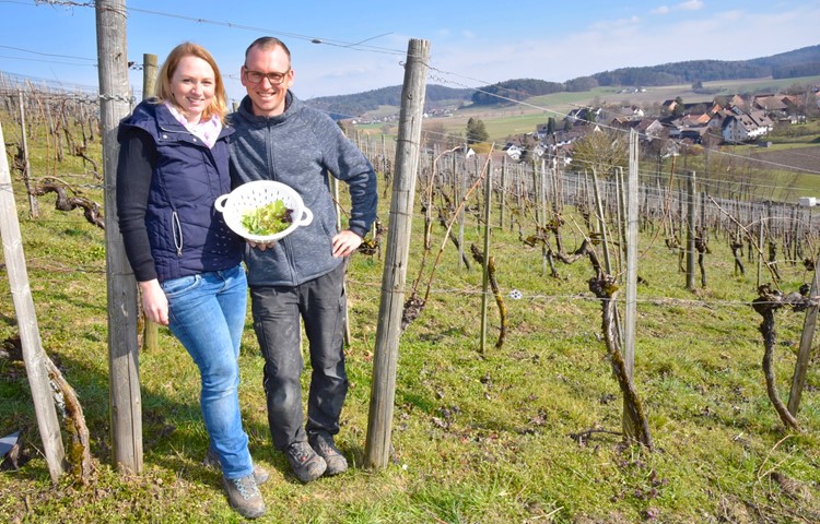 Annika und Ueli Kilchsperger mit einigen spontan gesammelten Kräutern aus ihrem Rebberg. Annika und Ueli Kilchsperger mit einigen spontan gesammelten Kräutern aus ihrem Rebberg.