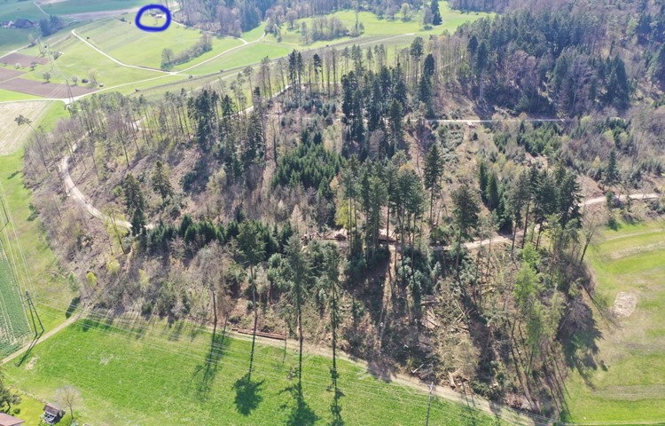 Zwischen Henggart und Humlikon, im Waldgebiet Schlatt, wurden grosse Holzschläge ausgeführt. Die Veränderung im unteren Bereich ist nicht nur aus der Luft augenscheinlich (Zur Orientierung: Blau eingekreist ist das «Guggenhürli» in Henggart, links unten die Stromleitungen und Häuser der Sandackerstrasse). Dieses Bild stammt von April 2021. Zwischen Henggart und Humlikon, im Waldgebiet Schlatt, wurden grosse Holzschläge ausgeführt. Die Veränderung im unteren Bereich ist nicht nur aus der Luft augenscheinlich (Zur Orientierung: Blau eingekreist ist das «Guggenhürli» in Henggart, links unten die Stromleitungen und Häuser der Sandackerstrasse). Dieses Bild stammt von April 2021.