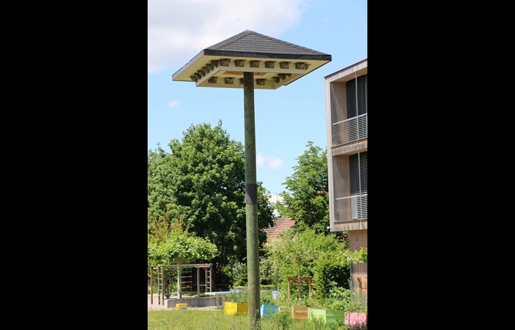 Bekannter als die Sandhügel sind die Hotels für Mehlschwalben. Zum Beispiel in Ossingen (Bild) oder in Flurlingen.