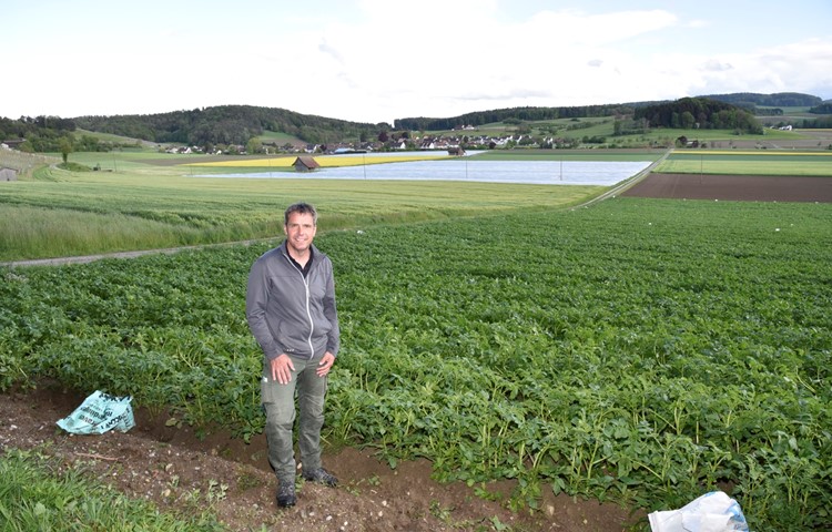 Martin Roth vor seinen Feldern – das vordere Kartoffelfeld ist bereits abgedeckt, hinten sind zwei weitere gedeckte zu sehen. Martin Roth vor seinen Feldern – das vordere Kartoffelfeld ist bereits abgedeckt, hinten sind zwei weitere gedeckte zu sehen.