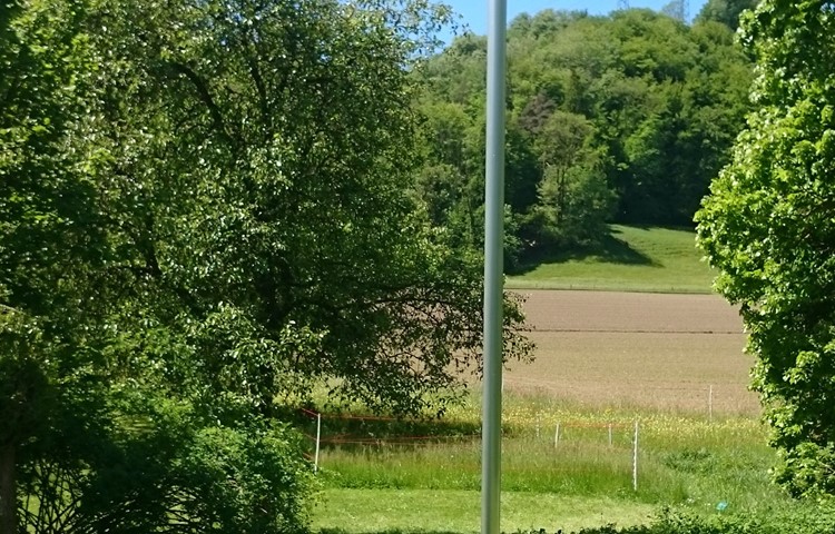 Roman Signers «Windfahne» an der Biennale Weiertal. Roman Signers «Windfahne» an der Biennale Weiertal.