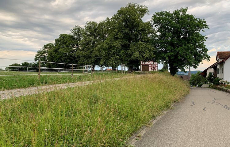 Bevor das Kloster Rheinau in Marthalen eine Kapelle baute, war der Lindenhof der Sakralplatz der Alemannen. Bevor das Kloster Rheinau in Marthalen eine Kapelle baute, war der Lindenhof der Sakralplatz der Alemannen.