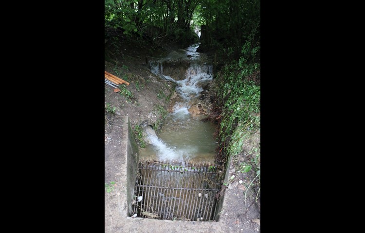 Bei der Liegenschaft Alte Mühle ist der Bach sichtbar – davor und danach fliesst er eingedolt, wie auch der Zufluss aus dem Gebiet Berg. Ein Rechen verhindert, dass die Röhre mit 60 Zentimeter Durchmesser verstopft, jedoch kann der Rechen selber zum Hindernis werden.