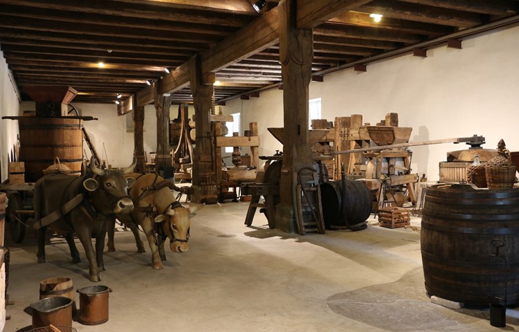Das Erdgeschoss des Kornhauses im einstigen Nonnenkloster St. Katharinental bei Diessenhofen zeigt die Fortschritte in der Wein- und Mostherstellung über die Jahrhunderte. Das Erdgeschoss des Kornhauses im einstigen Nonnenkloster St. Katharinental bei Diessenhofen zeigt die Fortschritte in der Wein- und Mostherstellung über die Jahrhunderte.