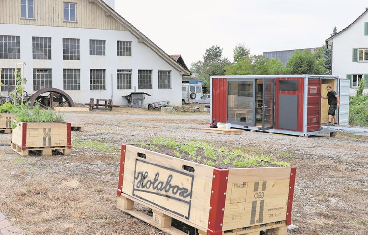 Am Donnerstag wurde die Holabox platziert, am Samstag soll der Verkauf starten. Der ehemalige Schiffscontainer ist videoüberwacht, kann gekühlt oder beheizt werden und ist bereit für elektronische Bezahlung. Am Donnerstag wurde die Holabox platziert, am Samstag soll der Verkauf starten. Der ehemalige Schiffscontainer ist videoüberwacht, kann gekühlt oder beheizt werden und ist bereit für elektronische Bezahlung.