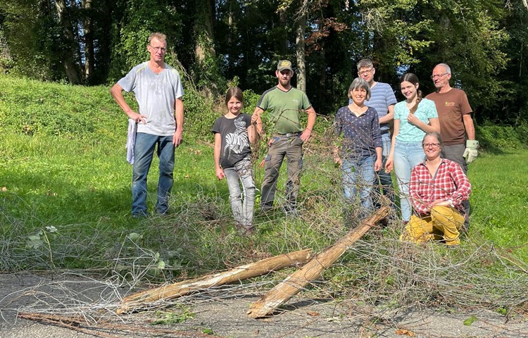 Früher zum Schutz aufgestellt, heute eine Gefahr für Tiere: Draht im Wald. In Stammheim wurde Geflecht entfernt. Früher zum Schutz aufgestellt, heute eine Gefahr für Tiere: Draht im Wald. In Stammheim wurde Geflecht entfernt.