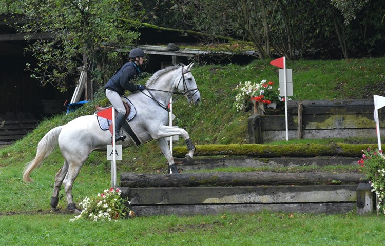 Das Herbstspringen in Trüllikon wurde schon zum 60. Mal durchgeführt. Das Herbstspringen in Trüllikon wurde schon zum 60. Mal durchgeführt.