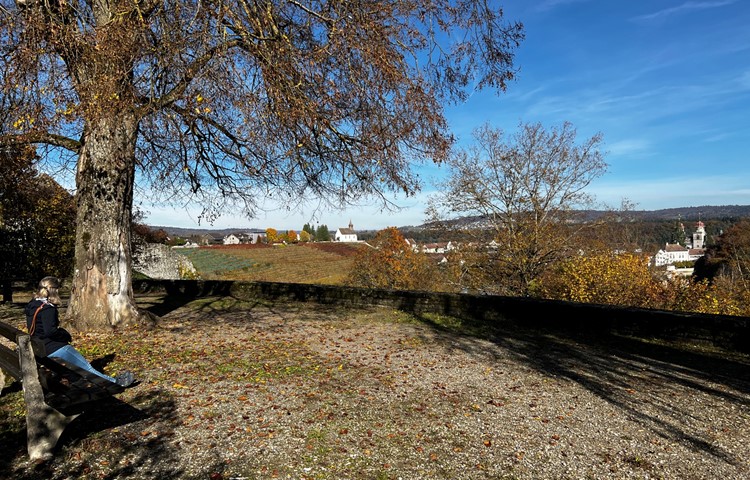 Der Platz Gotthard mit der schönsten Aussicht gehört dem Kanton, der auch einen Beitrag leistet. Der Platz Gotthard mit der schönsten Aussicht gehört dem Kanton, der auch einen Beitrag leistet.