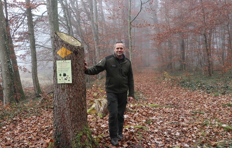 Revierförster Paul Koch auf einem der befestigten Wege beim Barchetsee bei Neunforn. Revierförster Paul Koch auf einem der befestigten Wege beim Barchetsee bei Neunforn.
