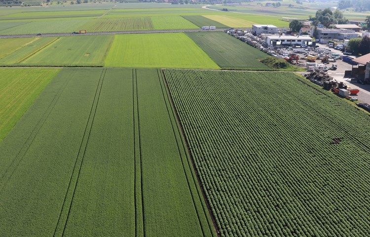 Im Fokus für Gewerbe ist zunächst der Landstreifen der Gemeinde zwischen der A4 und dem Flurweg und neben der Firma Atlas-Steine. Im Fokus für Gewerbe ist zunächst der Landstreifen der Gemeinde zwischen der A4 und dem Flurweg und neben der Firma Atlas-Steine.