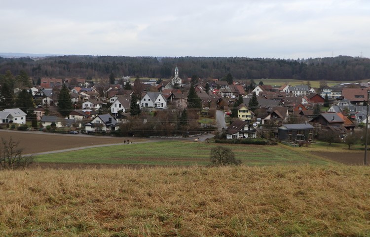 An der vorberatenden Gemeindeversammlung können die Anwesenden eine Stimmempfehlung abgeben. An der vorberatenden Gemeindeversammlung können die Anwesenden eine Stimmempfehlung abgeben.