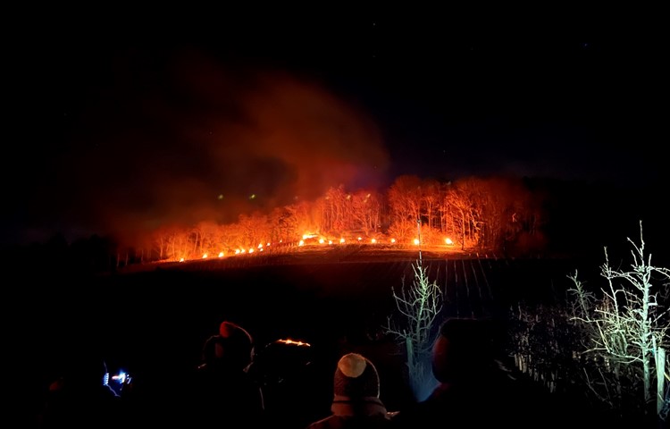 Eine Lichterkette mit Fackeln zieht durch den Rebberg – unten werden die Trägerinnen und Träger empfangen. Eine Lichterkette mit Fackeln zieht durch den Rebberg – unten werden die Trägerinnen und Träger empfangen.