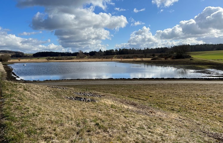 Der neu angelegte Weiher im Oerlingerried bietet bereits jetzt Lebensraum für diverse Tier- und Pflanzenarten. Der neu angelegte Weiher im Oerlingerried bietet bereits jetzt Lebensraum für diverse Tier- und Pflanzenarten.