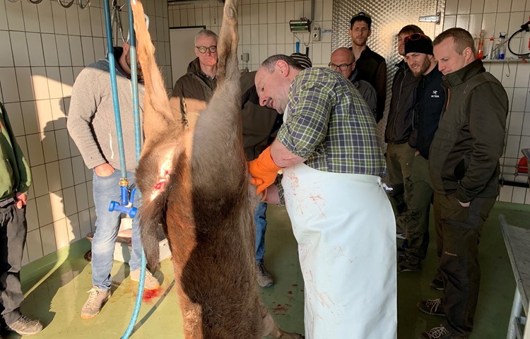 Hans Langhard zeigte im Schlachtlokal, wie erlegtes Wild weiterverarbeitet wird. Hans Langhard zeigte im Schlachtlokal, wie erlegtes Wild weiterverarbeitet wird.
