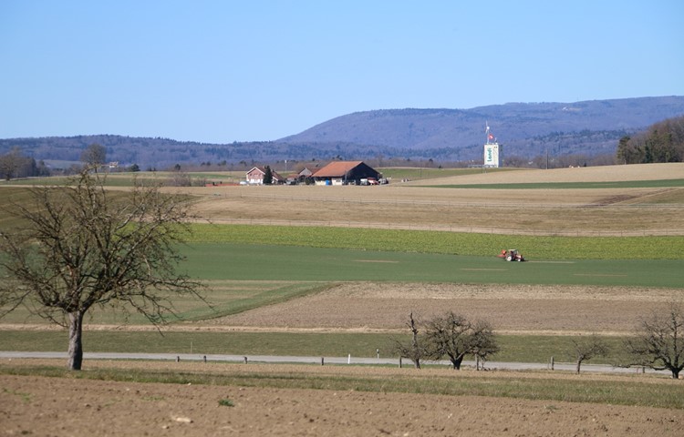 Die landwirtschaftliche Siedlung mit 39' 000 Quadratmeter Fläche drumrum wäre erst am Schluss versteigert worden, weil unentbehrlich für den Besitzer. Die landwirtschaftliche Siedlung mit 39' 000 Quadratmeter Fläche drumrum wäre erst am Schluss versteigert worden, weil unentbehrlich für den Besitzer.