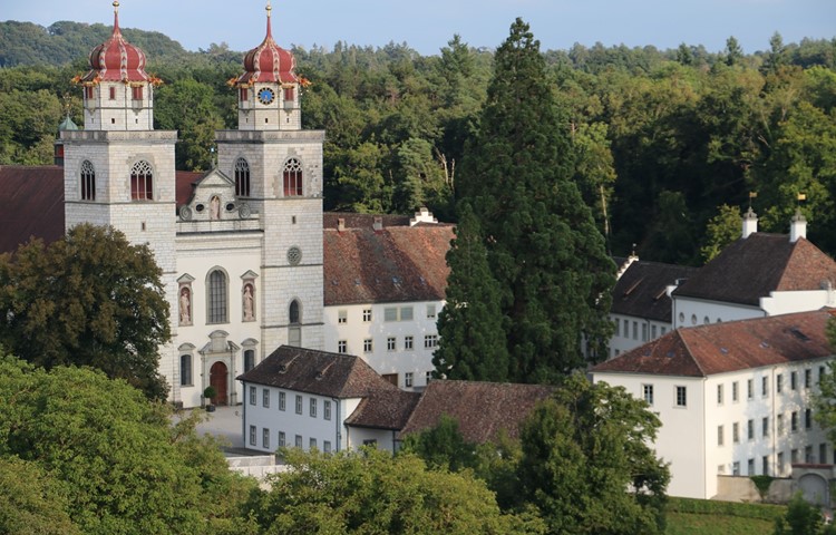 Das Projekt, ein Museum auf der Insel Rheinau zu realisieren, wird nun doch vom Kanton unterstützt. Das Projekt, ein Museum auf der Insel Rheinau zu realisieren, wird nun doch vom Kanton unterstützt.