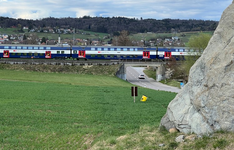 Der Zug wird im Sommer nun doch zwischen Dachsen und Marthalen (im Vordergrund der Hinkelstein) verkehren. Der Zug wird im Sommer nun doch zwischen Dachsen und Marthalen (im Vordergrund der Hinkelstein) verkehren.