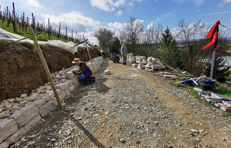 Die Zivis arbeiten fleissig an der rund 20 Meter langen Trockensteinmauer in den Rebanlagen von Stefan Wettstein. Die Zivis arbeiten fleissig an der rund 20 Meter langen Trockensteinmauer in den Rebanlagen von Stefan Wettstein.