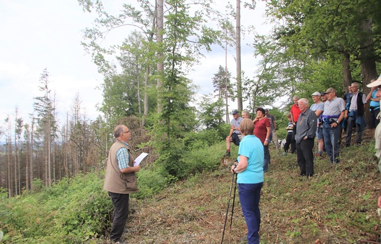 Förster Hans Beereuter (links) führte die interessierte Bevölkerung durch den Wald und zeigte unter anderem auf, wie mit den neu entstandenen Kahlflächen umgegangen wird. Förster Hans Beereuter (links) führte die interessierte Bevölkerung durch den Wald und zeigte unter anderem auf, wie mit den neu entstandenen Kahlflächen umgegangen wird.