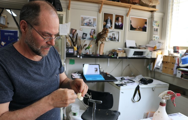 Marcel Nyffenegger beim Erstellen eines Körpers für ein Kükenmodell. Marcel Nyffenegger beim Erstellen eines Körpers für ein Kükenmodell.
