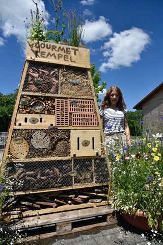 Einen Gourmettempel für Insekten inklusive Buch, was sie brauchen, fertigte Anja Zimmermann an.