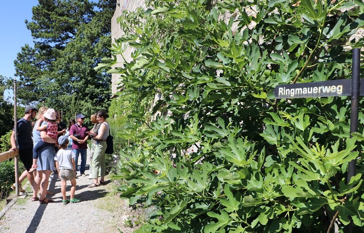 Ursina Largiadèr (r.) führte durch die Burganlage und erzählte von den kleinsten Bewohnern des Anwesens. Ursina Largiadèr (r.) führte durch die Burganlage und erzählte von den kleinsten Bewohnern des Anwesens.