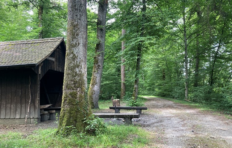 Route 1 beginnt bei der Chachberghütte (exakt: im Wald rechts des Wegs). Route 1 beginnt bei der Chachberghütte (exakt: im Wald rechts des Wegs).
