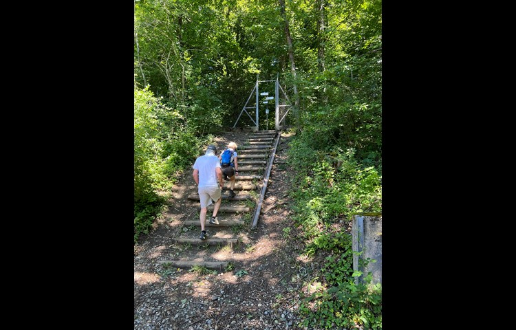 Die Treppe ist so gestaltet, dass sie mit Mofas fast nicht überwunden werden kann – die «Grüne Grenze» ist ja auch ein Wanderweg.