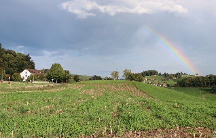 Ein Symbol wie bestellt – die Vollversammlung nach dem Standortvorschlag startete unter einem Regenbogen. Ein Symbol wie bestellt – die Vollversammlung nach dem Standortvorschlag startete unter einem Regenbogen.