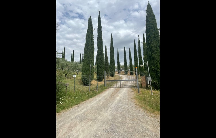 Die Zufahrt eines Weinguts in der Toscana.