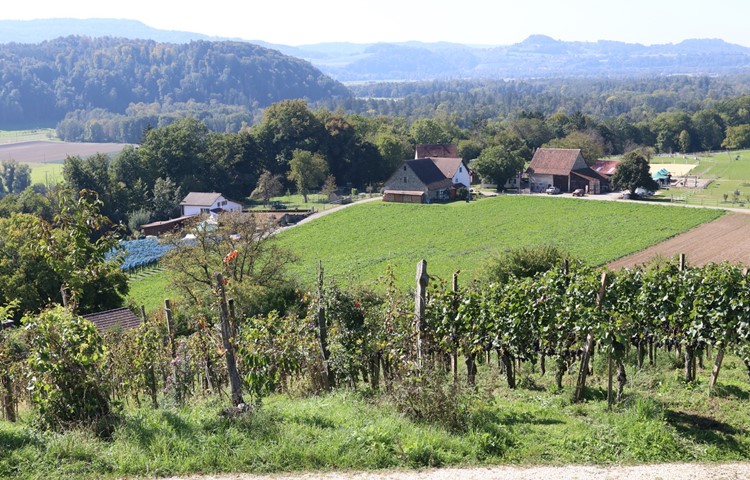 Nidermartel ist durch eine Strasse getrennt – sind es deshalb zwei Gebäudegruppen, oder ist es ein Weiler? Nidermartel ist durch eine Strasse getrennt – sind es deshalb zwei Gebäudegruppen, oder ist es ein Weiler?